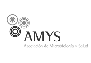 amys